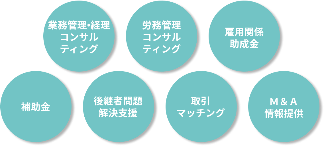 業務管理・経理コンサルティング、労務管理コンサルティング、雇用関係助成金、補助金、後継者問題解決支援、取引マッチング、M&A情報提供